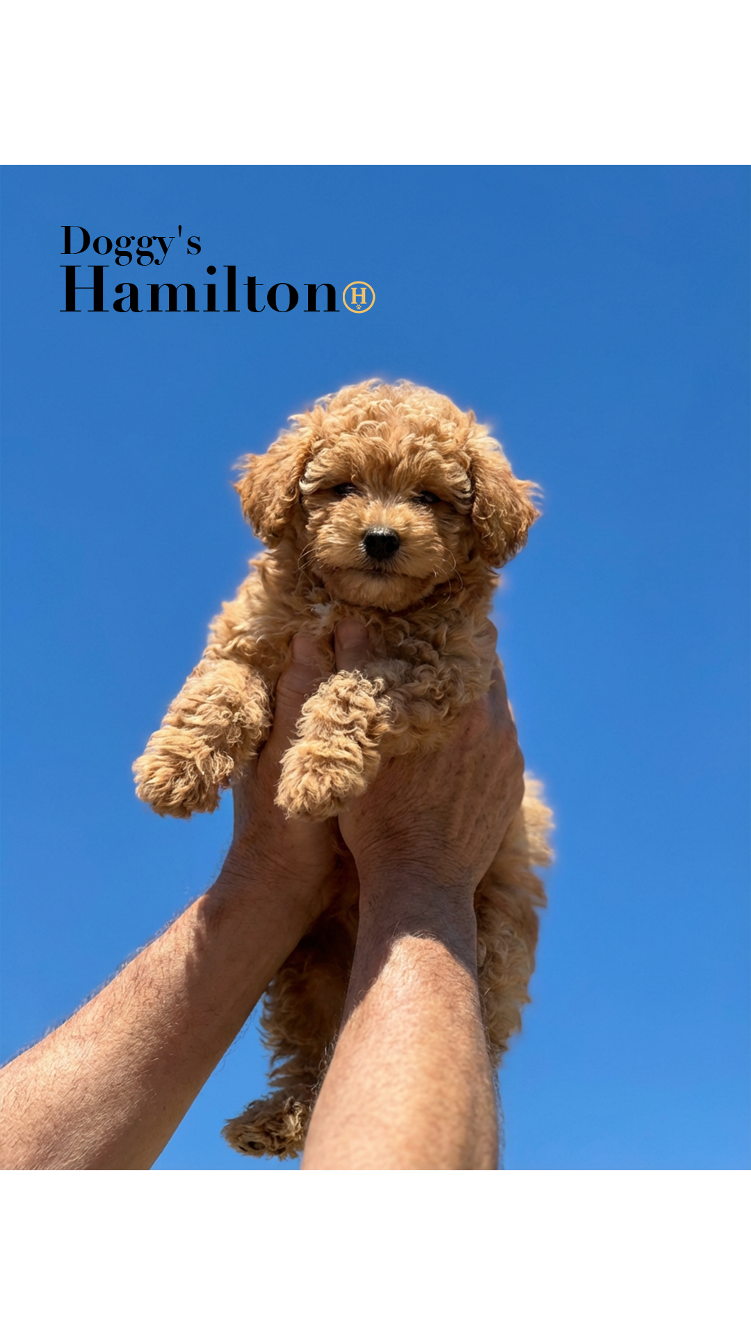 (5-3) [15] January Third Week 1 2026.png