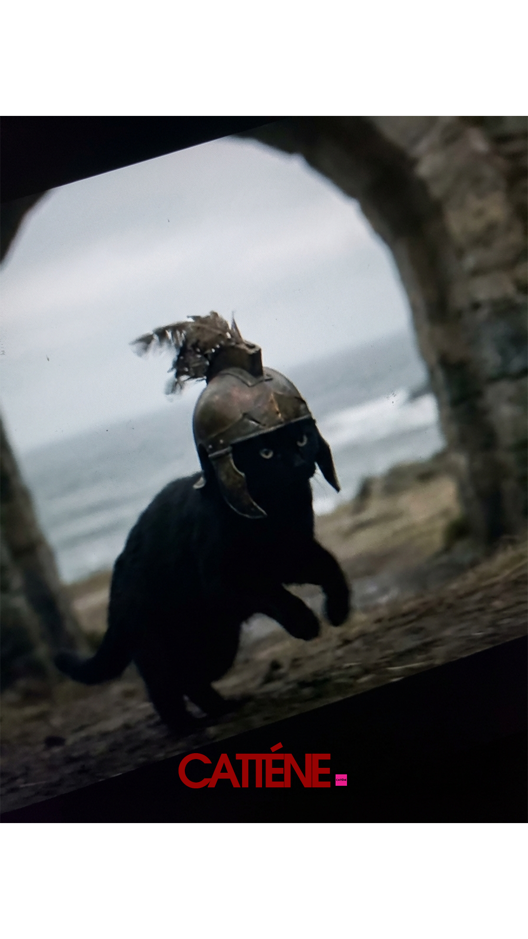 (Transition Scene 6) [14] January Third Week 1 2026.png