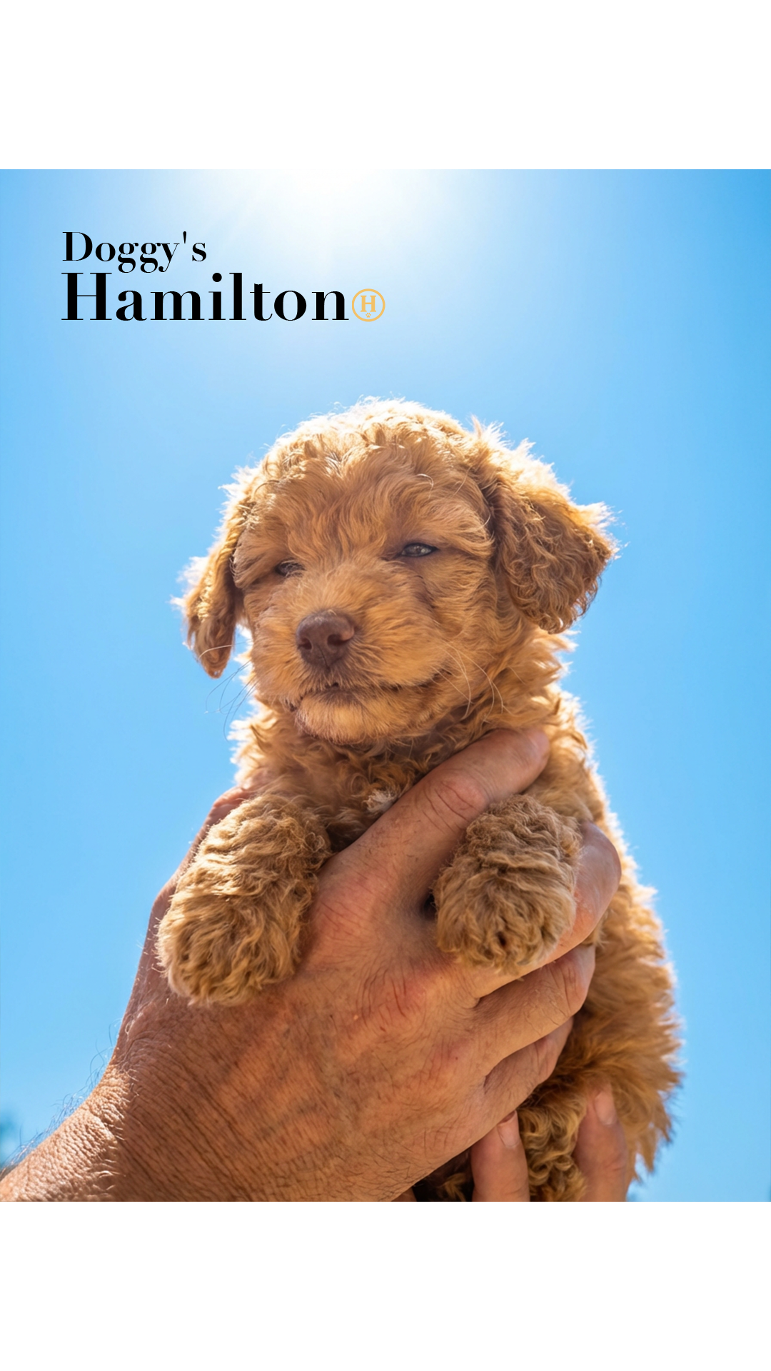 (5-2) [15] January Third Week 1 2026.png