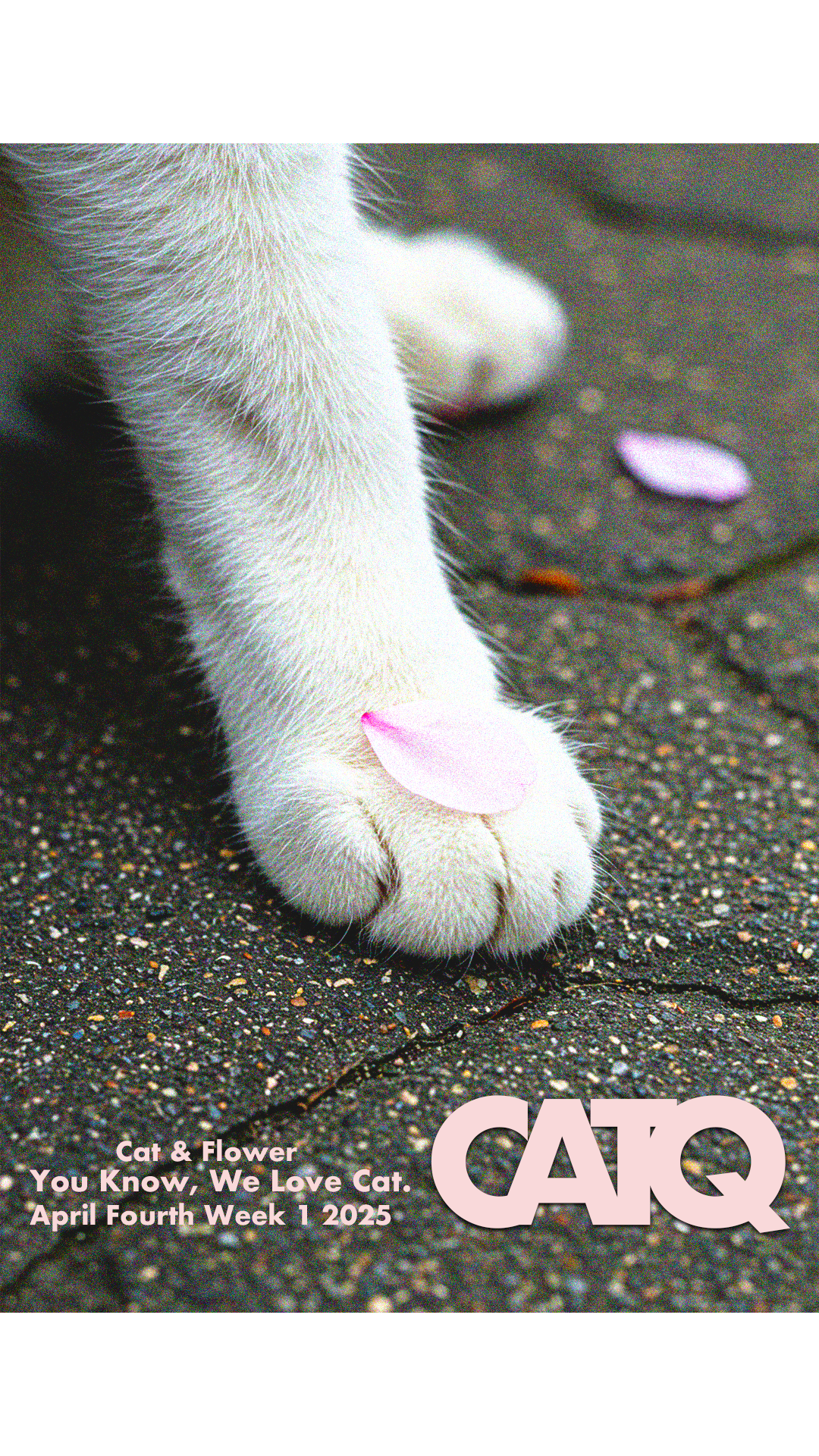 April Fourth Week 1 2025 Outro.png