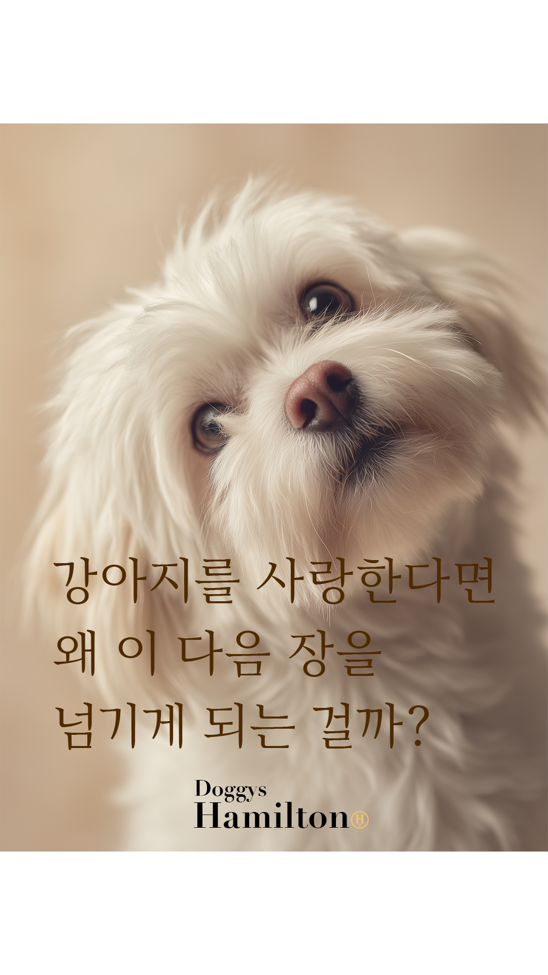 (Page 1) [13] Decanber First Week 1 2025.png