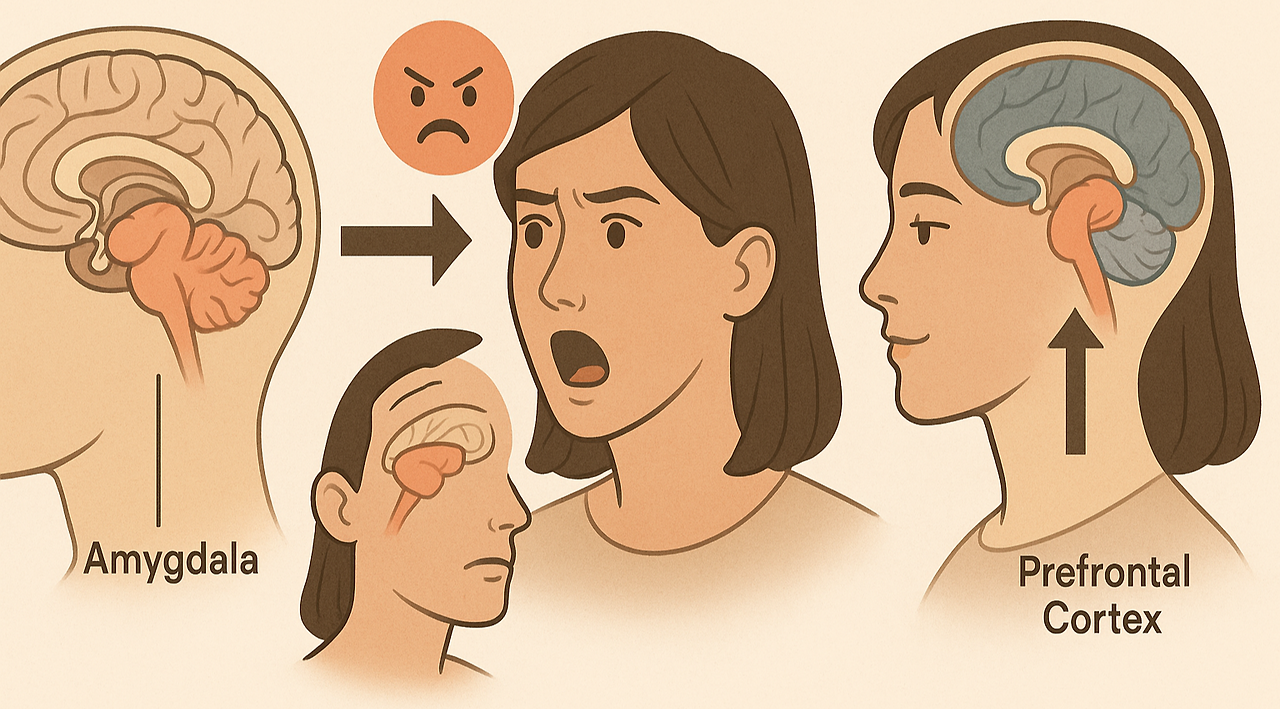 ChatGPT Image 2025년 6월 30일 오전 09_11_57.png