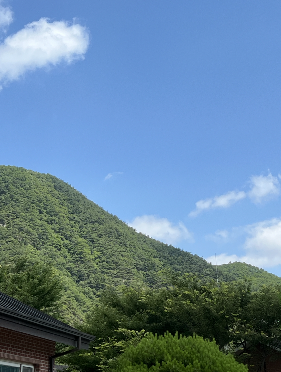 스크린샷 2025-06-18 오후 3.23.45.png