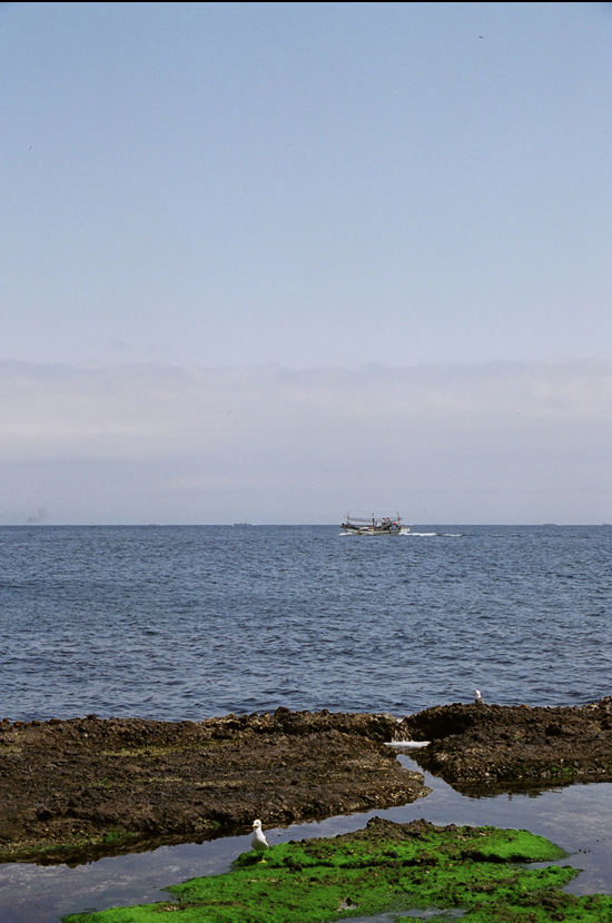 스크린샷 2018-07-27 오후 12.42.57.png