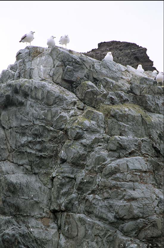 스크린샷 2018-07-27 오후 12.41.58.png