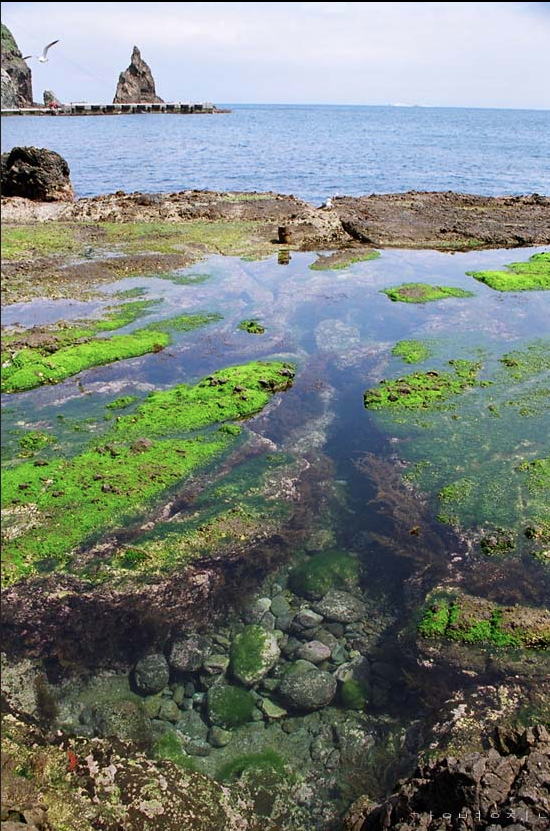 스크린샷 2018-07-27 오후 12.41.48.png