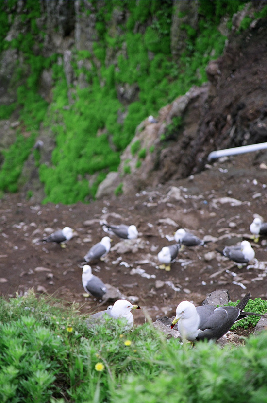 스크린샷 2018-07-27 오후 12.42.46.png