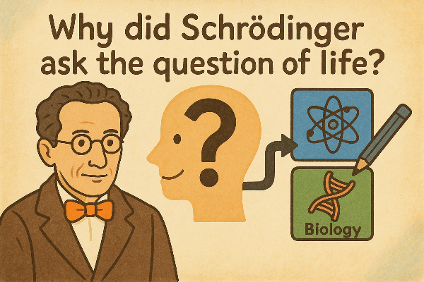 ChatGPT Image 2025년 9월 19일 오전 12_50_44.png