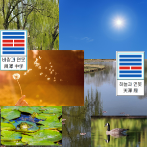 복희역으로본 저작권 이괘 중부괘.png