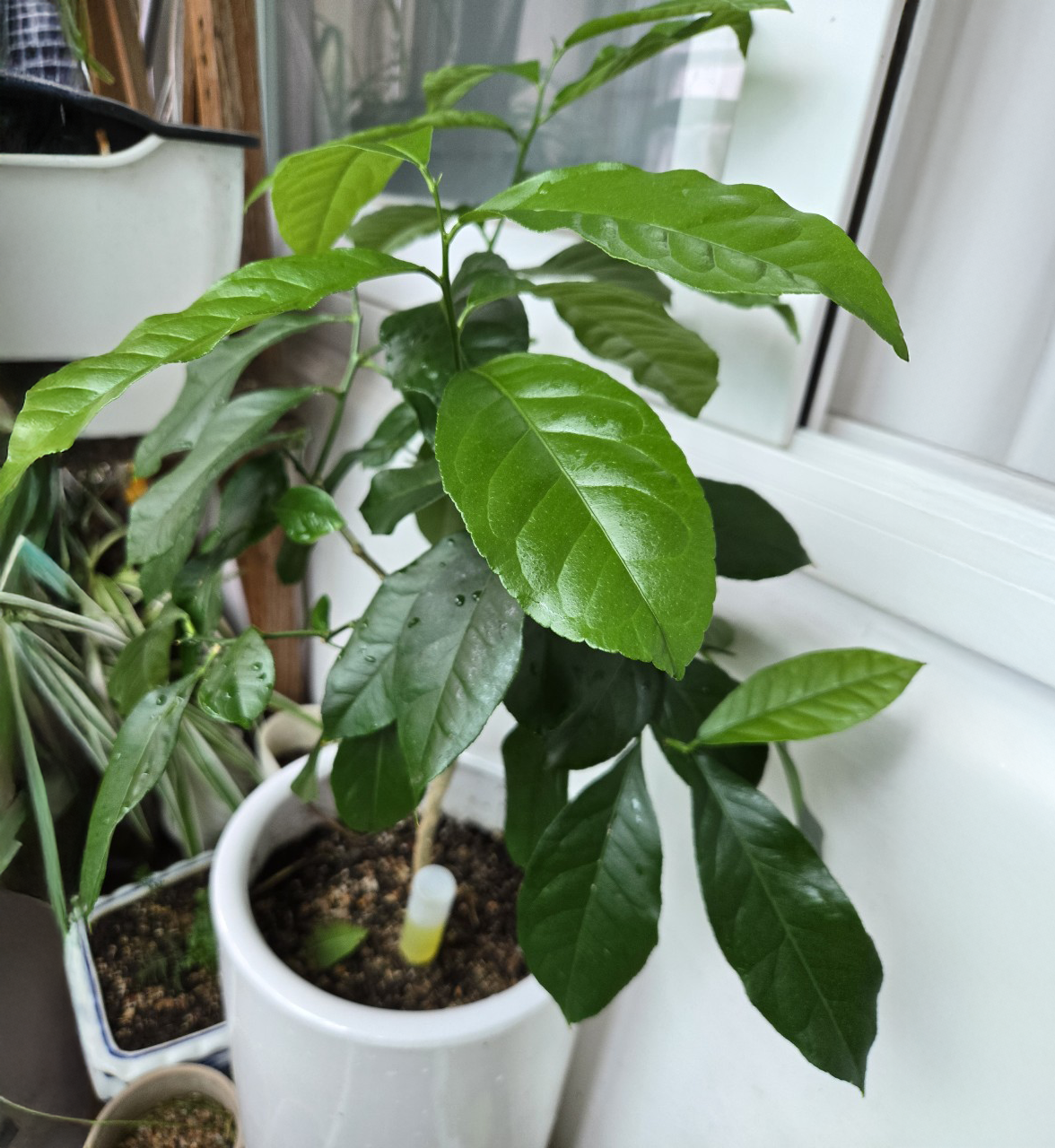 묵상글 모음_사진_20250716_4 복사.png