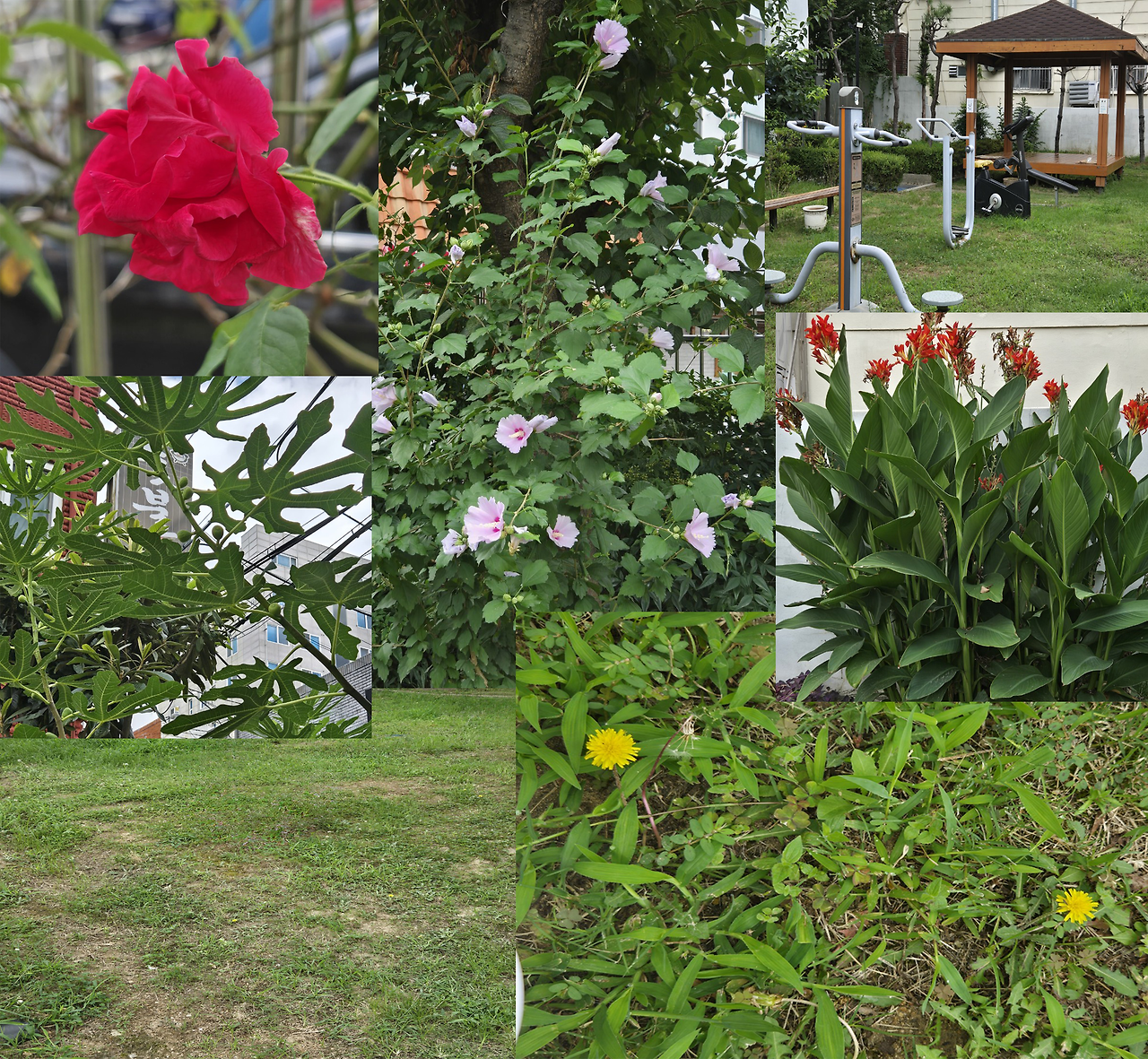 8월의 정자정원.png