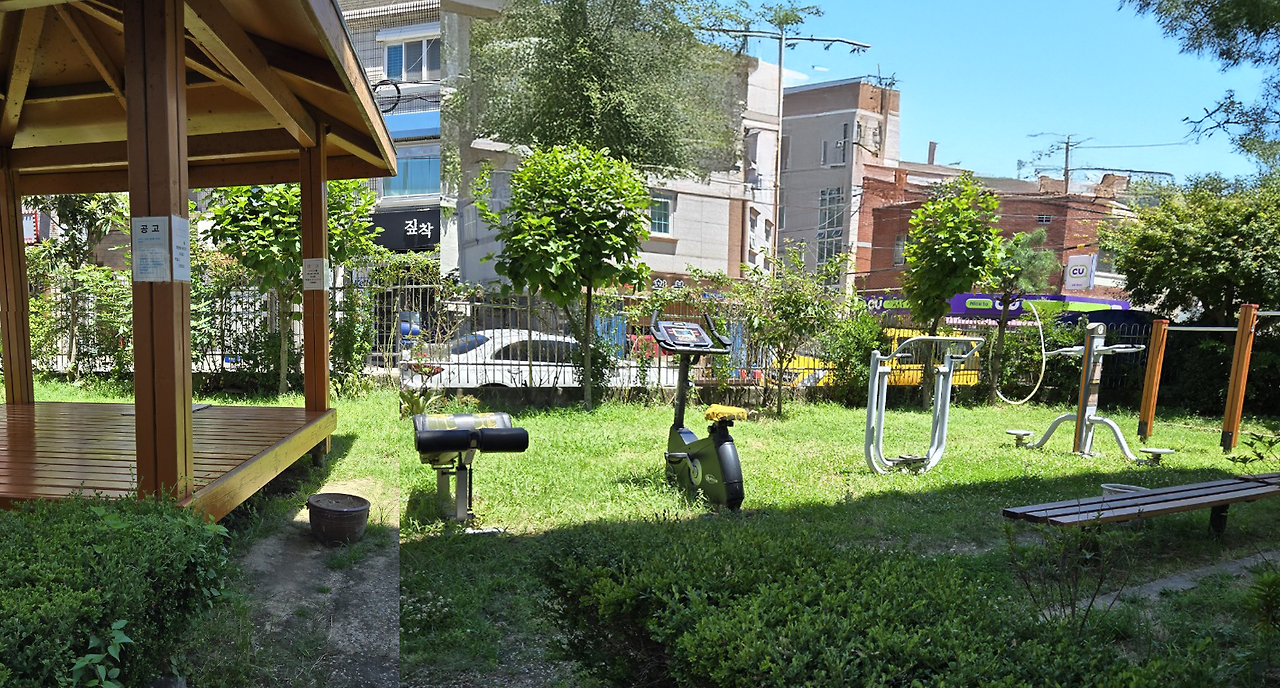 ❤️가드닝(꽃_그림)❤️_사진_20250727_3 복사 2.png