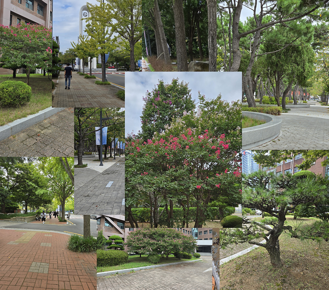 오늘의 부경대 모습.png