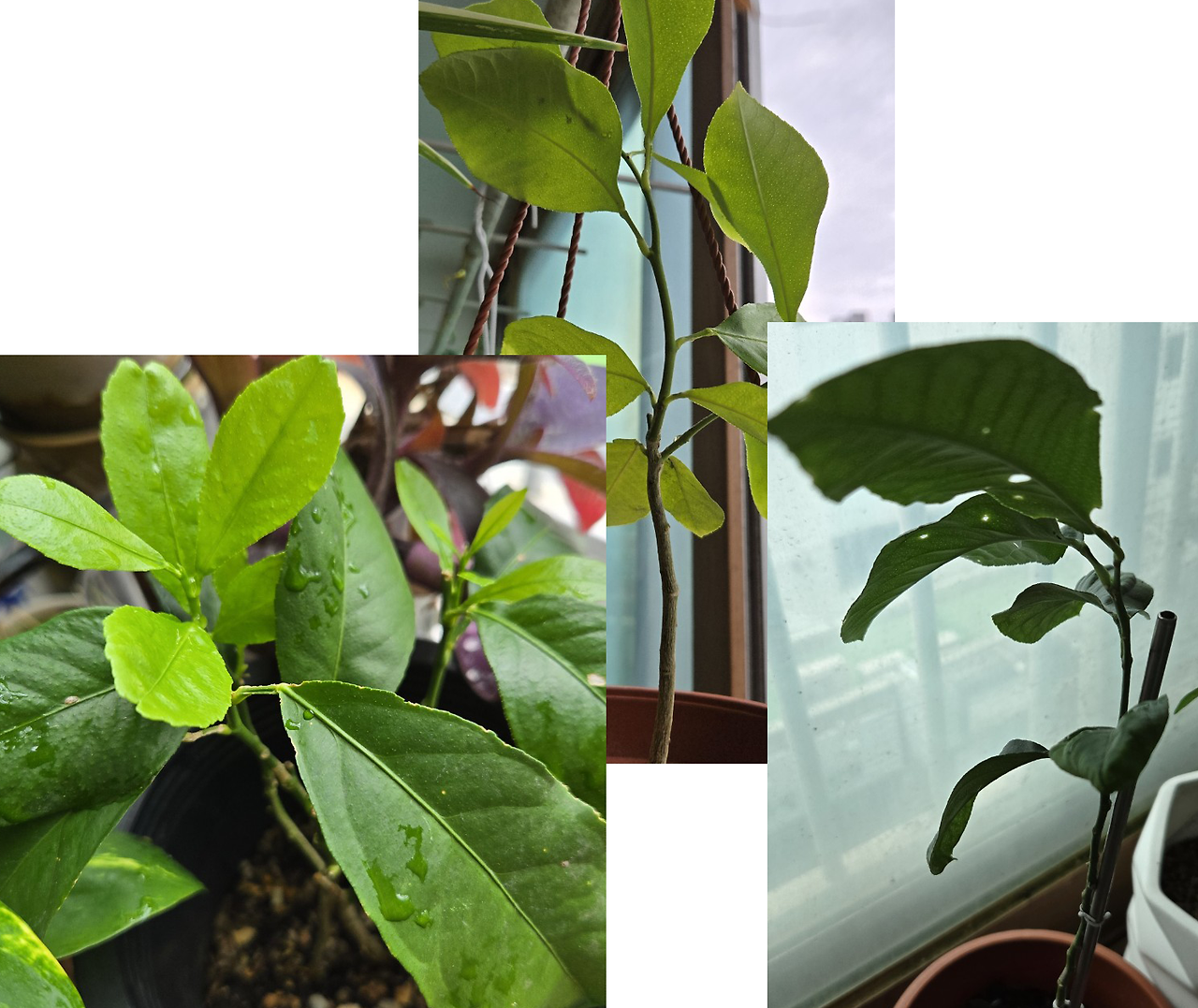 묵상글 모음_사진_20250716_1 복사.png