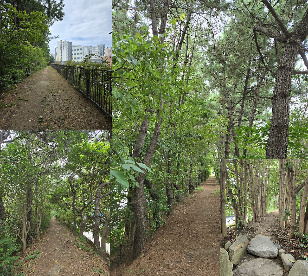 부경대 오솔길.png