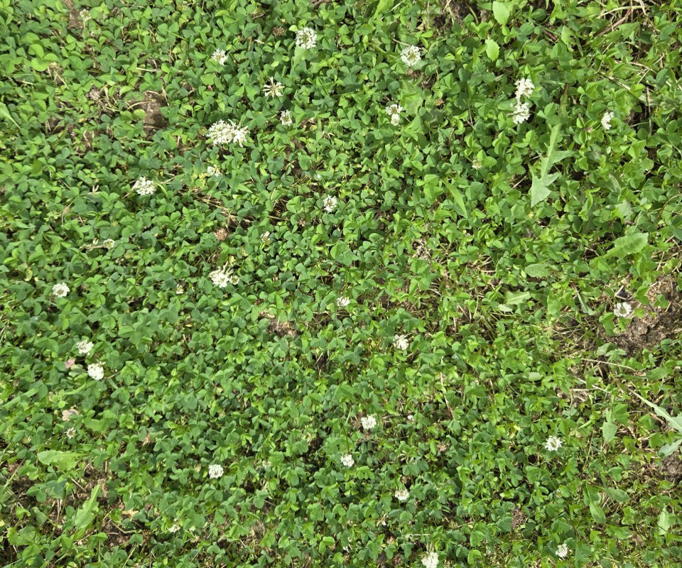 c_f76Ud018svcd4932oyucrs7_vtjs1l 복사.png