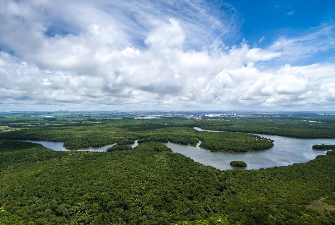 브라질 산, 바다, 강,.png