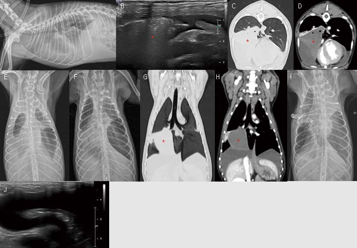 [대한수의사회지 24.png