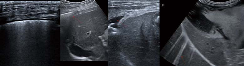 [대한수의사회지 24.png