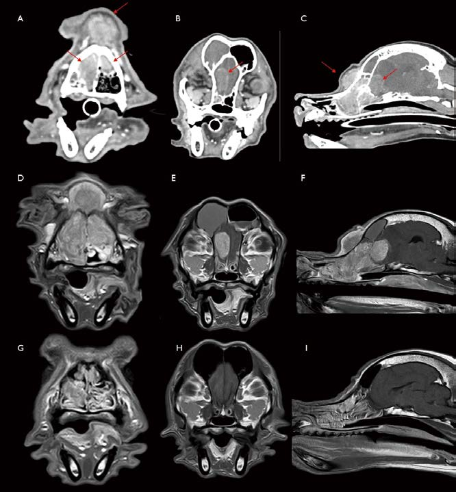 [대한수의사회지 8.png