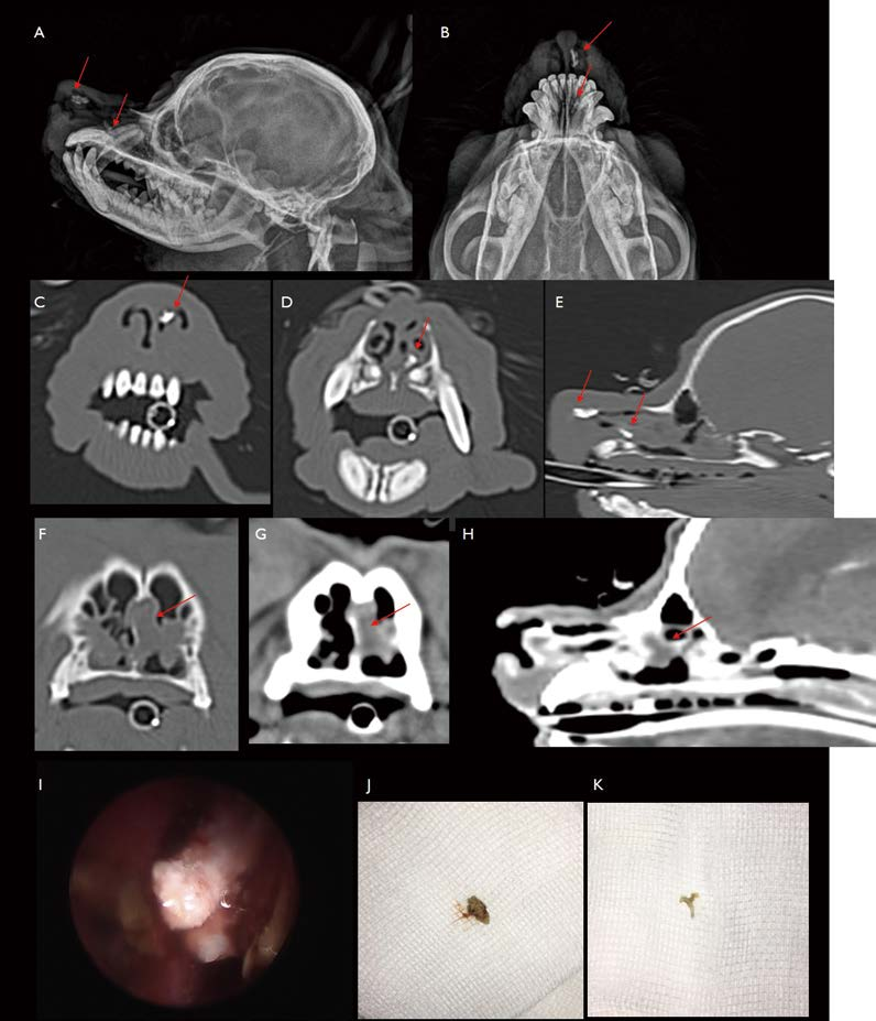 [대한수의사회지 3.png