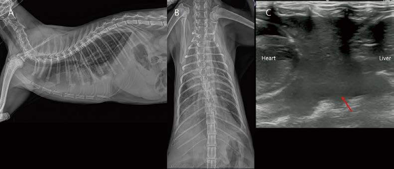 [대한수의사회지 24.png