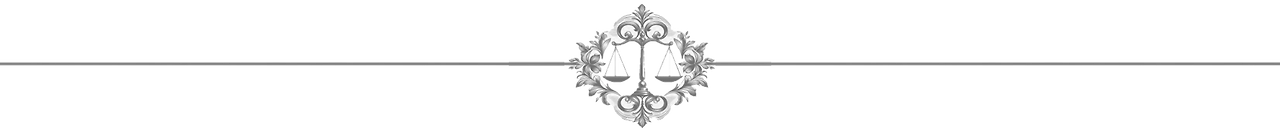 법령인용 라인 상단.png