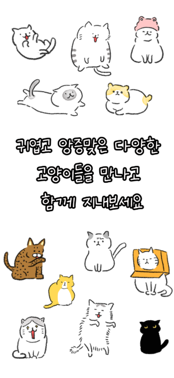 양이3.png