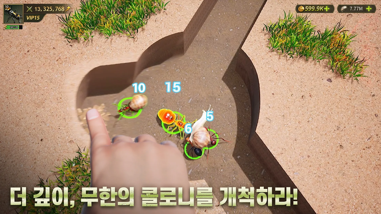 개군4.png
