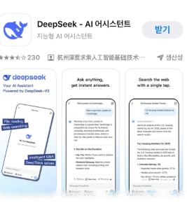 딥시크4.png