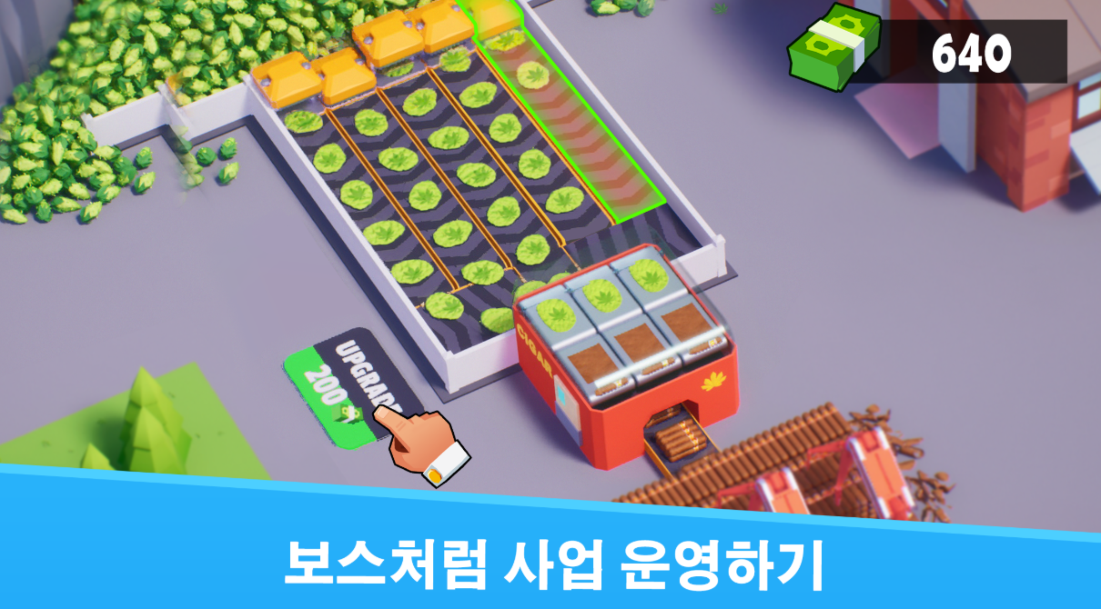 아마4.png