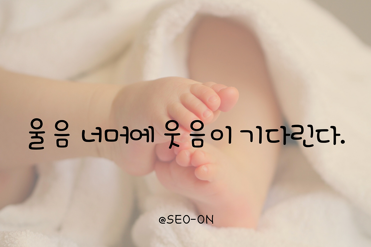 부제목 추가.png