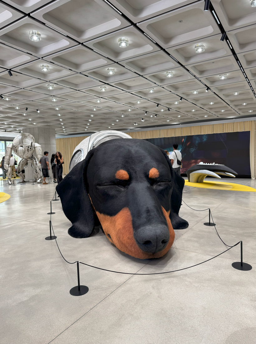 꿈꾸는 닥스훈트.png