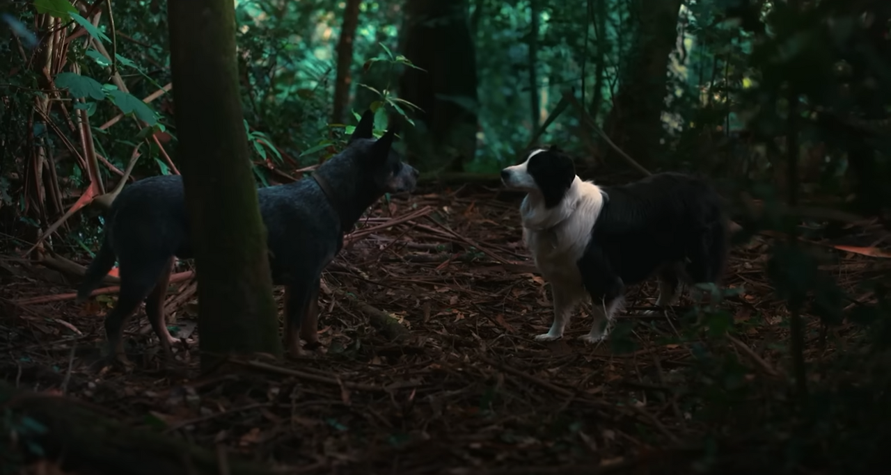 2025-09-01 23 17 12.png