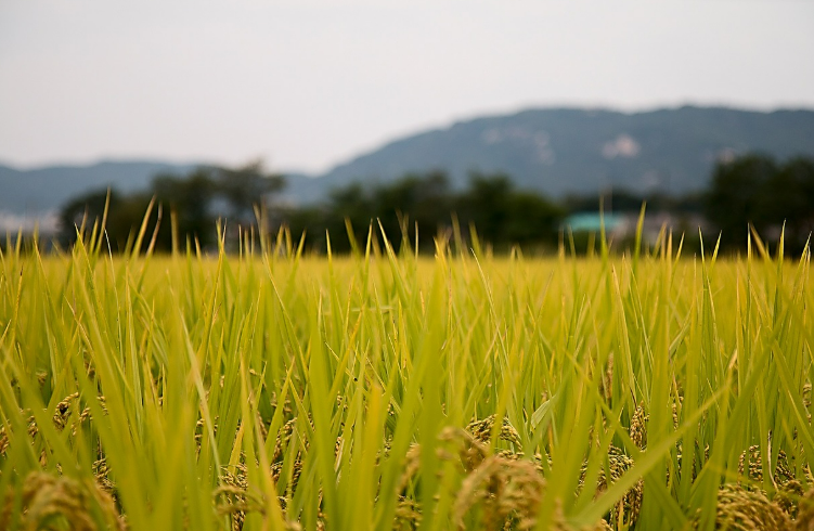 화면 캡처 2025-12-30 134918.png