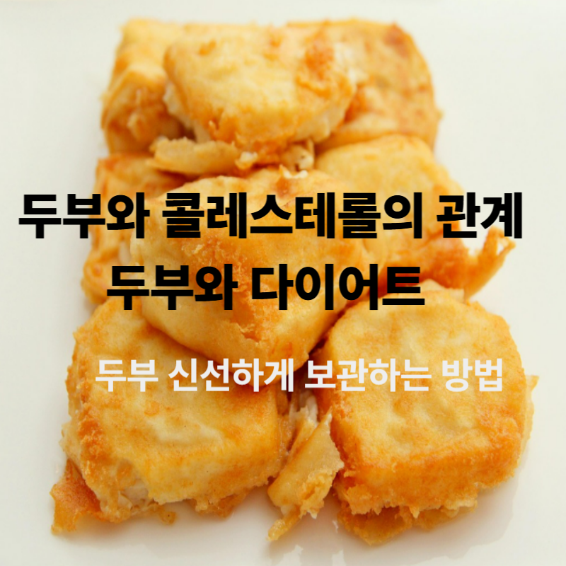 제목을 입력해주세요_-002 (23).png