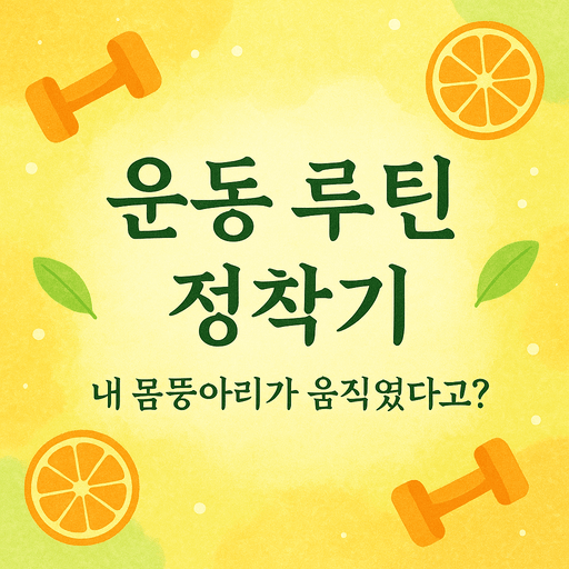 운동 루틴 정착기.png
