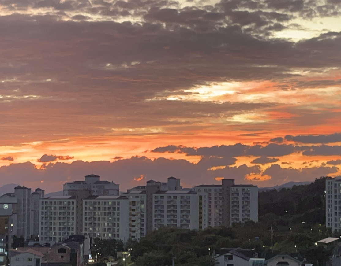 Pasted Graphic 1.png