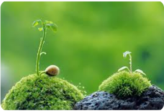 스크린샷 2025-07-11 215752.png