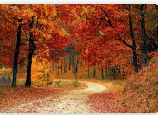 스크린샷 2025-07-17 203628.png