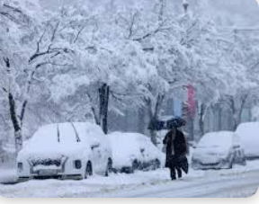 스크린샷 2025-07-01 233645.png