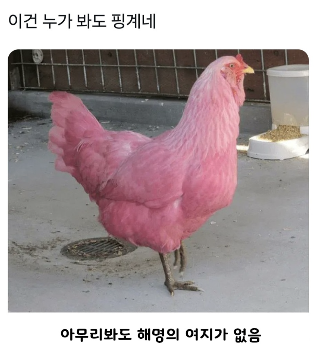 스크린샷 2025-06-26 오후 2.34.22.png