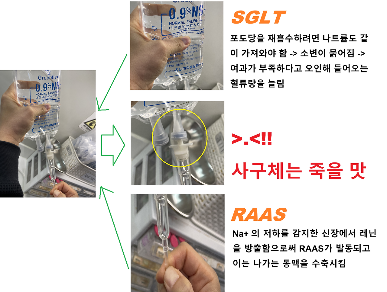 SGLT_RAAS.png
