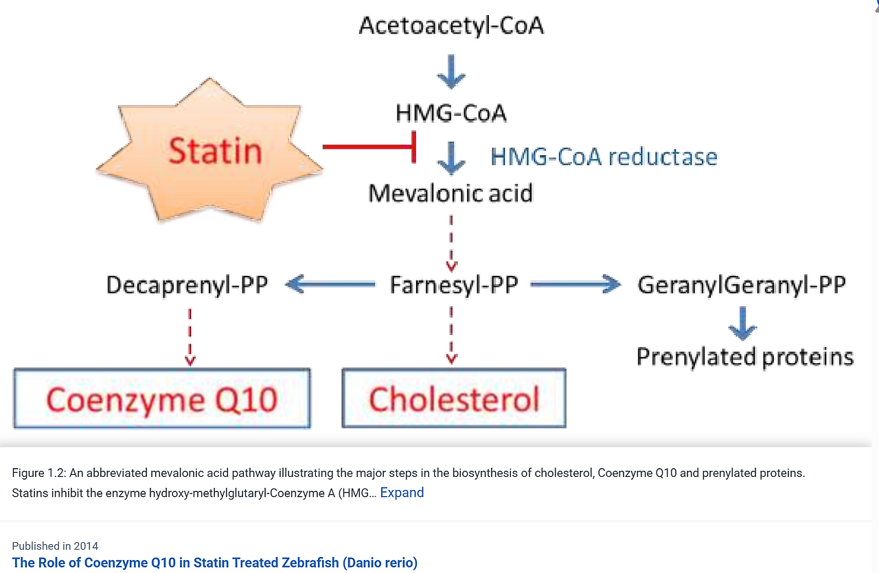 HMGCR_COQ10.png