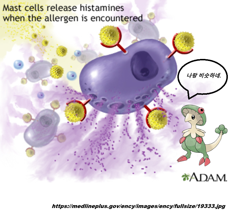 MAST_cell_1.png