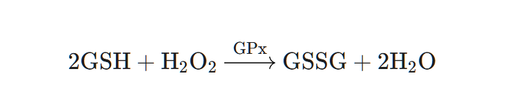 glutathione.png