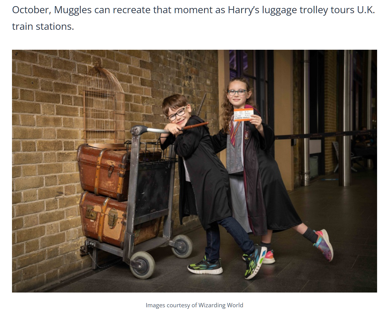 harry.png