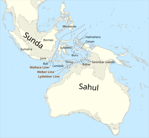 Map_of_Sunda_and_Sahul.svg.png