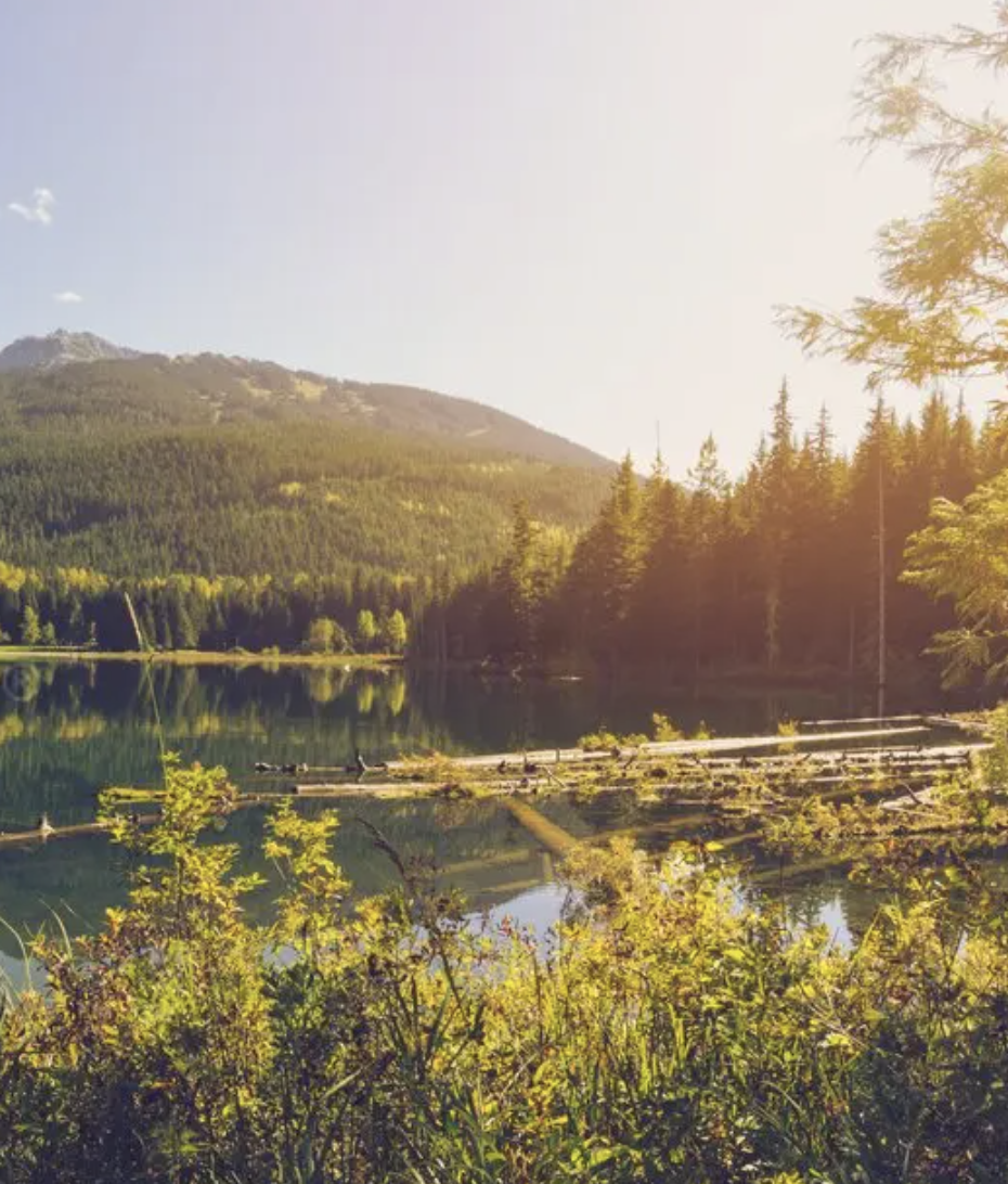 Bildschirmfoto 2024-10-24 um 12.40.49.png