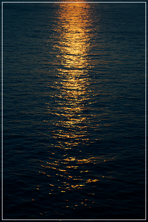 ChatGPT Image 2025년 11월 7일 오후 12_25_45.png